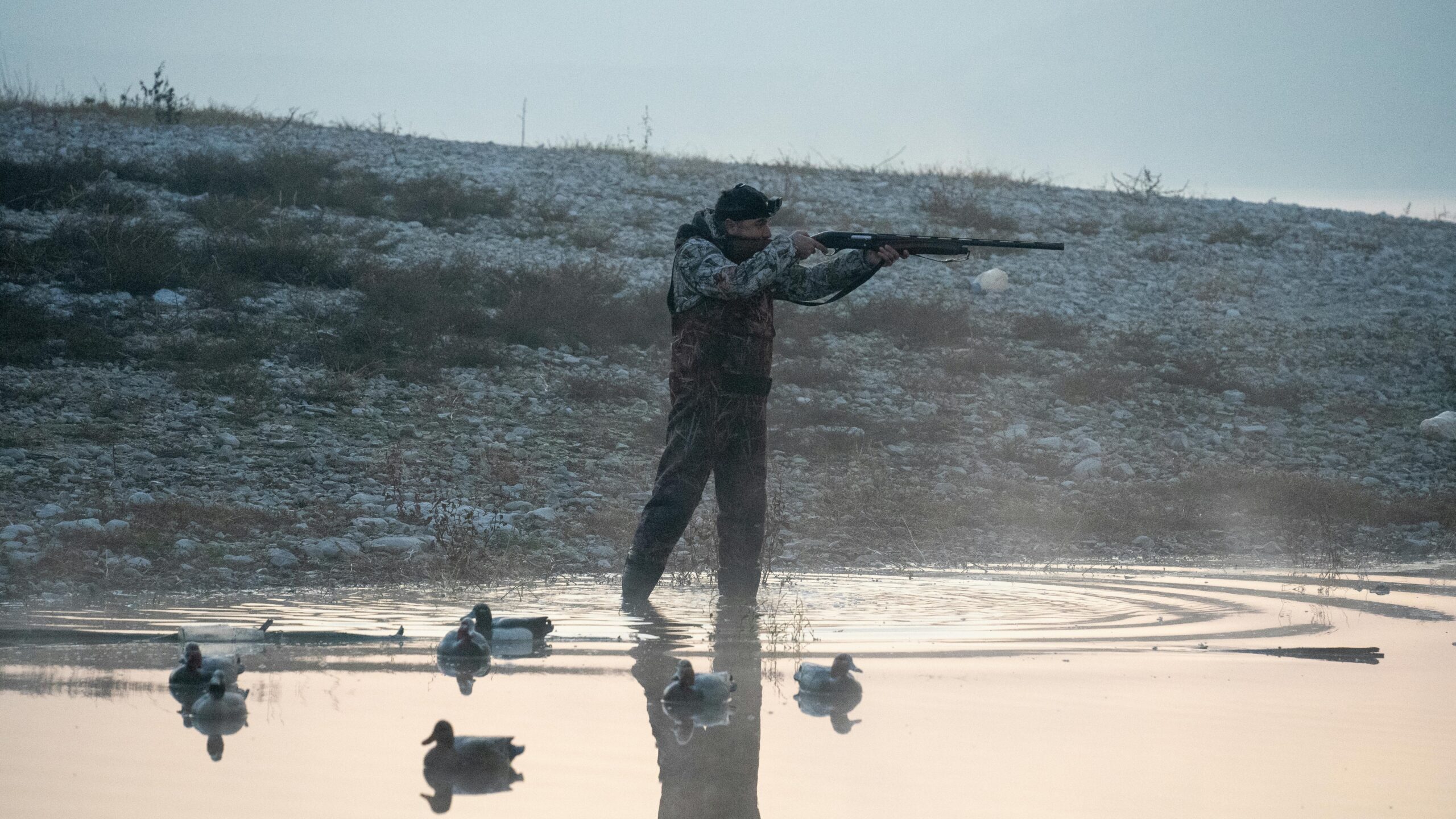 A Beginner’s Guide to Duck Hunting Basics - The Daily Haze