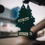 From Pine Trees to Premium Scents: The Meteoric Rise of the Auto Air Freshener Industry
