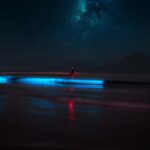 How the Moon Phase Can Make or Break Your Bioluminescence Tour