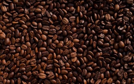 Why the Same Strain Tastes Different Between Two Harvests