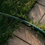 How to Keep Your Grass Healthy in the Summer