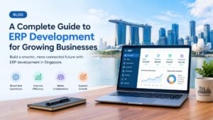 ERP development in singapore