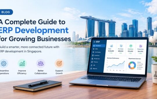 ERP development in singapore